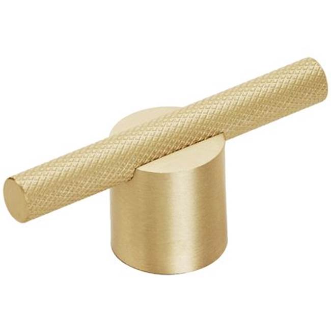 Amerock - Transcendent Pull - Matte Gold