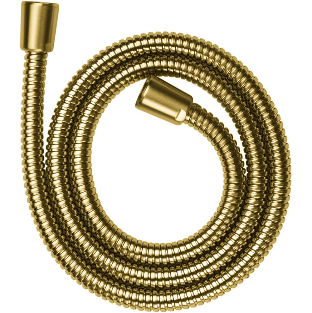 Axor - AXOR ShowerSolutions Metal Handshower Hose, 49'' in Brushed Gold Optic - Brushed Gold Optic