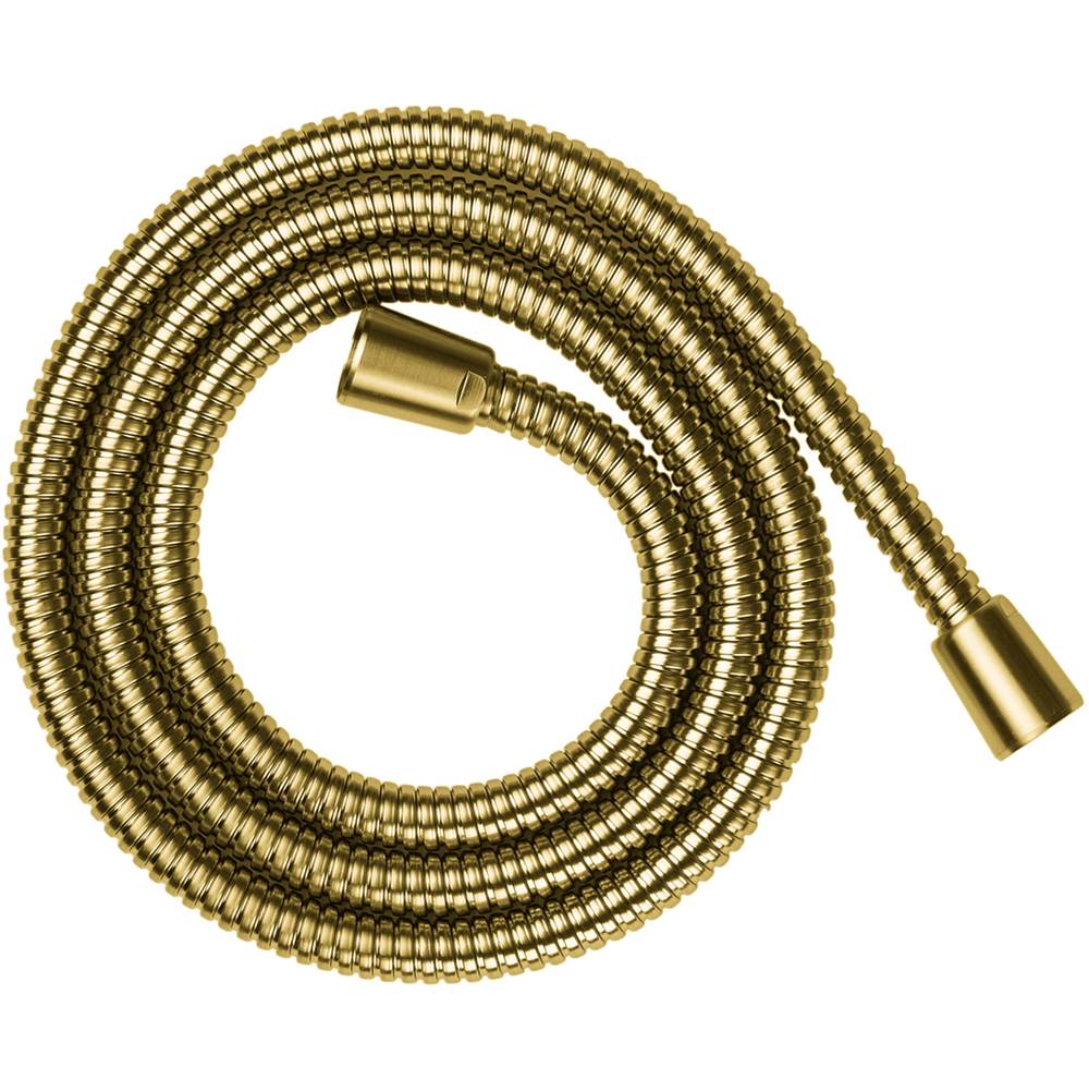 Axor - AXOR ShowerSolutions Metal Handshower Hose, 63'' in Brushed Gold Optic - Brushed Gold Optic