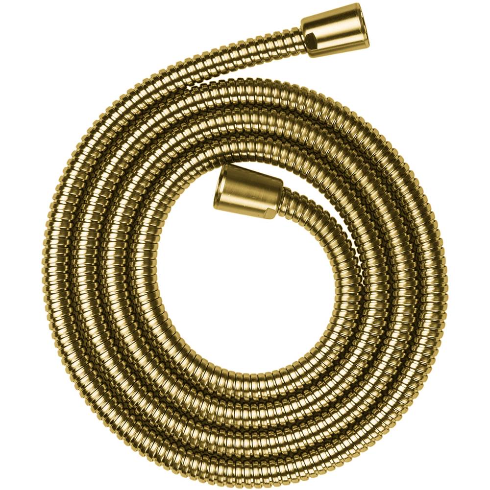 Axor - AXOR ShowerSolutions Metal Handshower Hose, 80'' in Brushed Gold Optic - Brushed Gold Optic