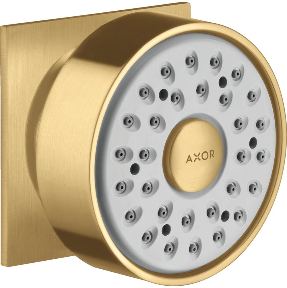 Axor - AXOR Starck Bodyspray Square in Brushed Gold Optic - Brushed Gold Optic