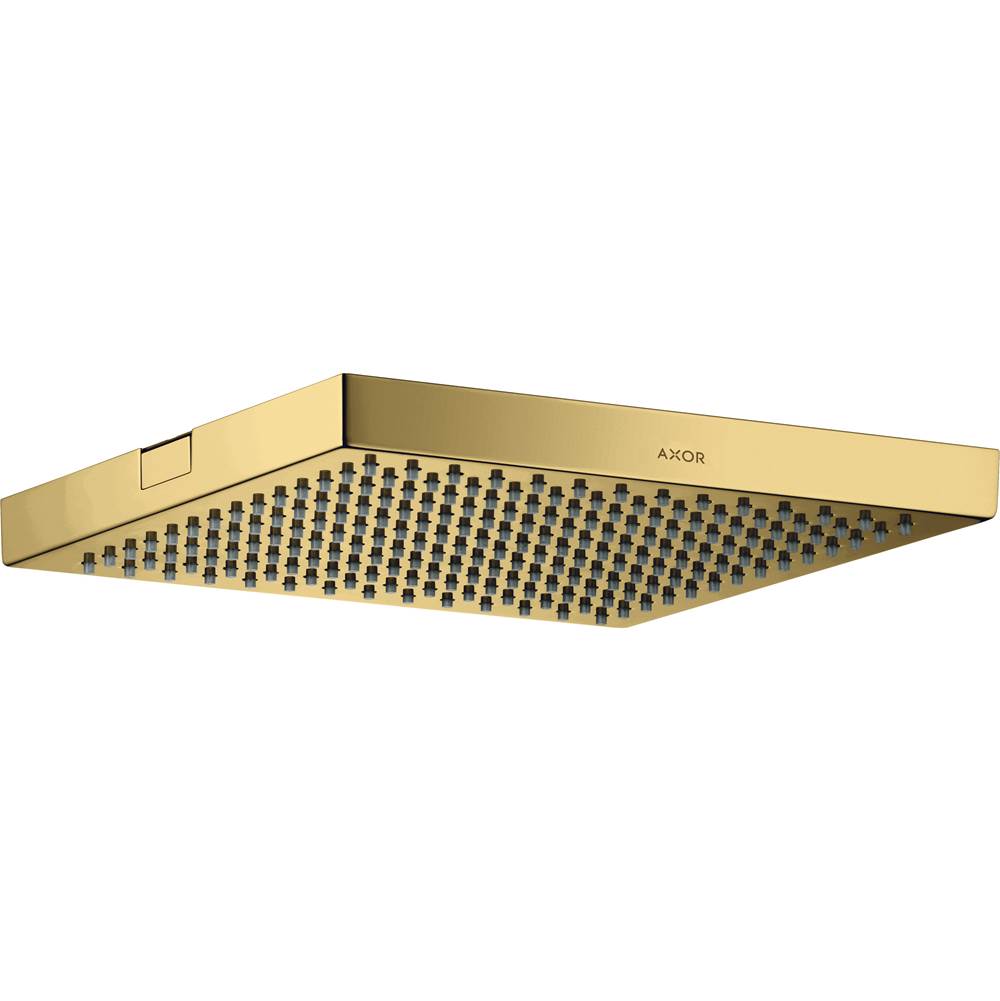 Axor - AXOR ShowerSolutions Showerhead 240 1-Jet, 2.5 GPM in Polished Gold Optic - Polished Gold Optic