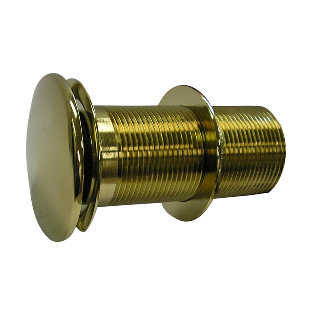 Barclay - Umbrella Drain, Push Button Pop-Up, Polished Brass - Polished Brass