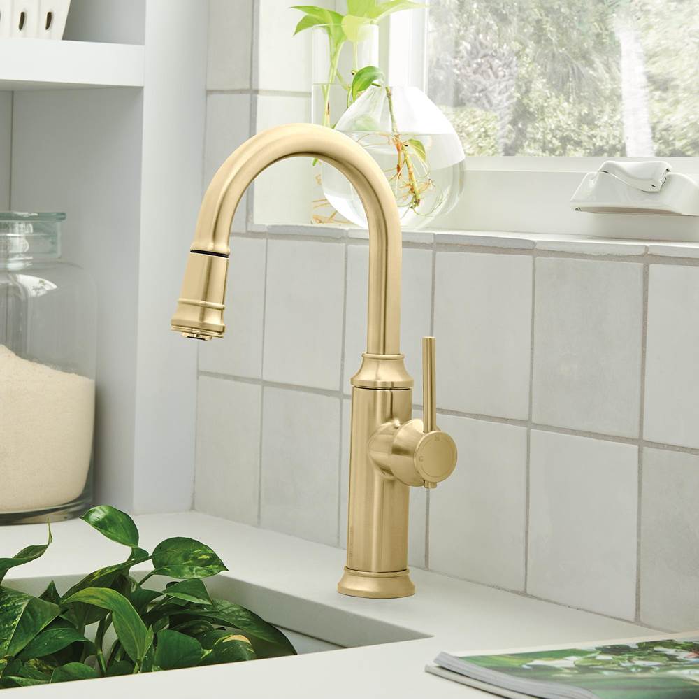 Empressa Pull-Down Bar Faucet - Chrome