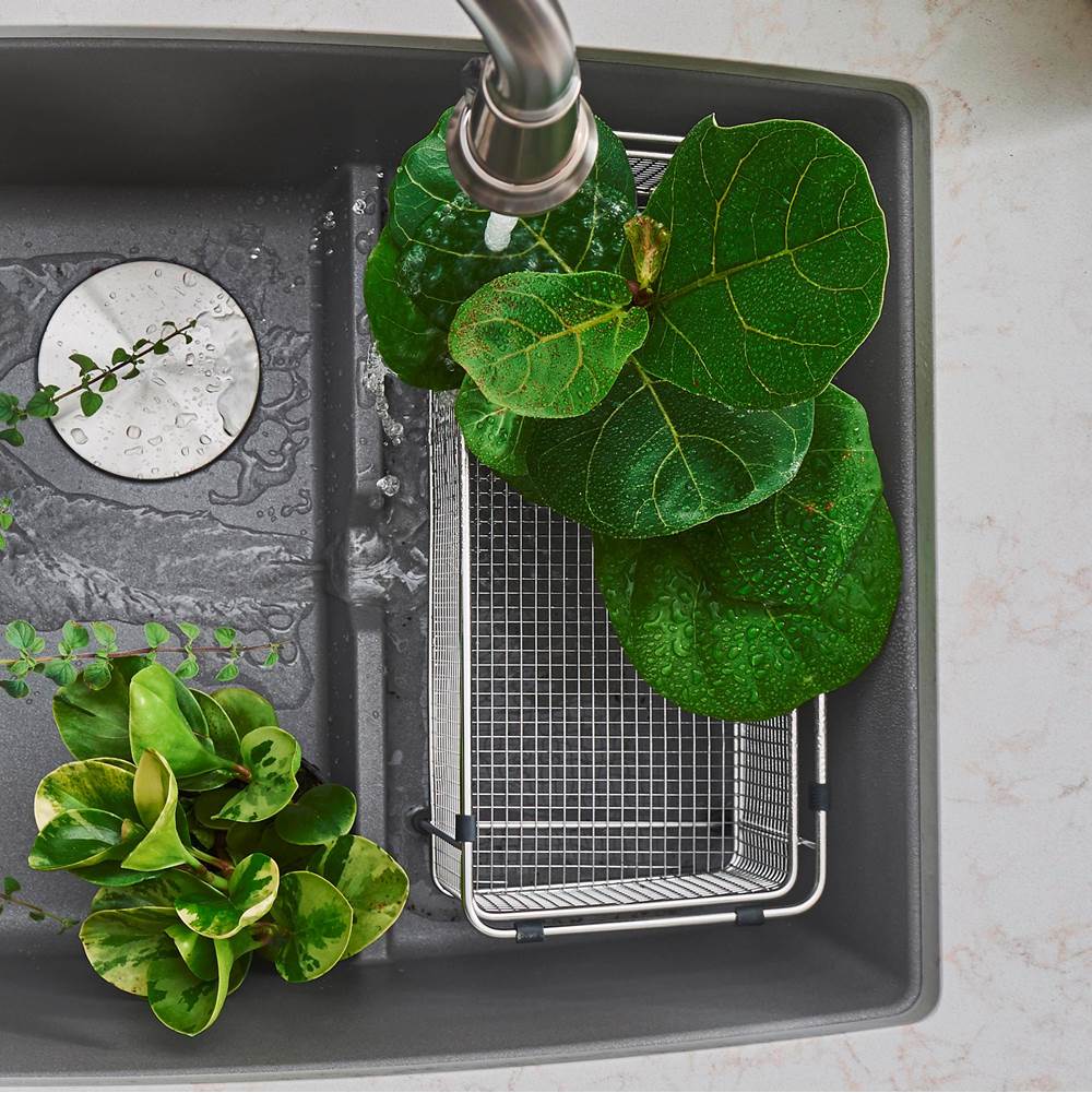 Mesh Basket - Stainless Steel (Precis)