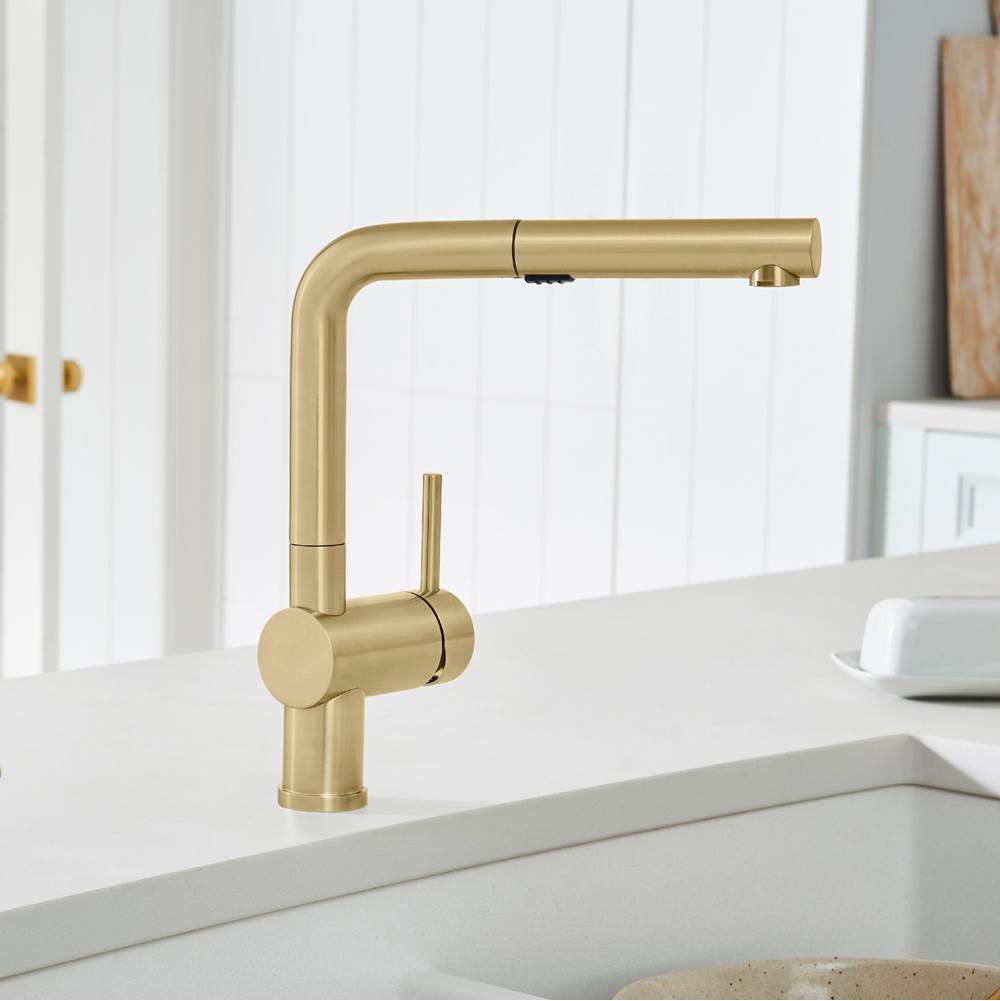 Linus Low Arc Pull-Out Dual-Spray Kitchen Faucet - Chrome