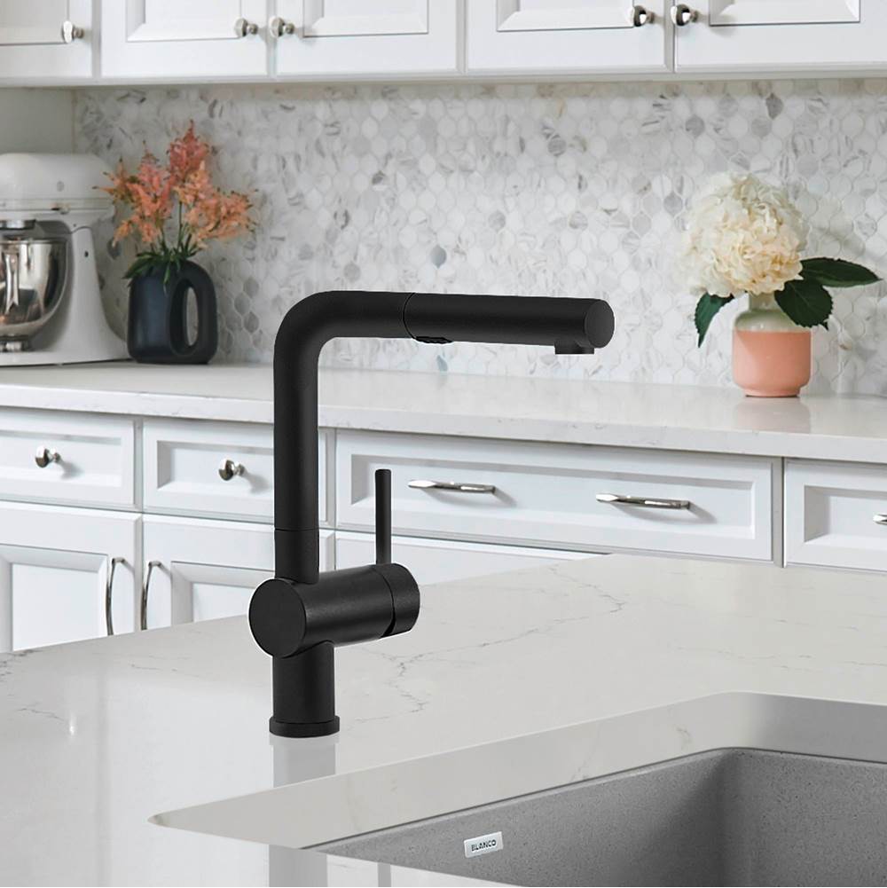 Linus Low Arc Pull-Out Dual-Spray Kitchen Faucet - Chrome
