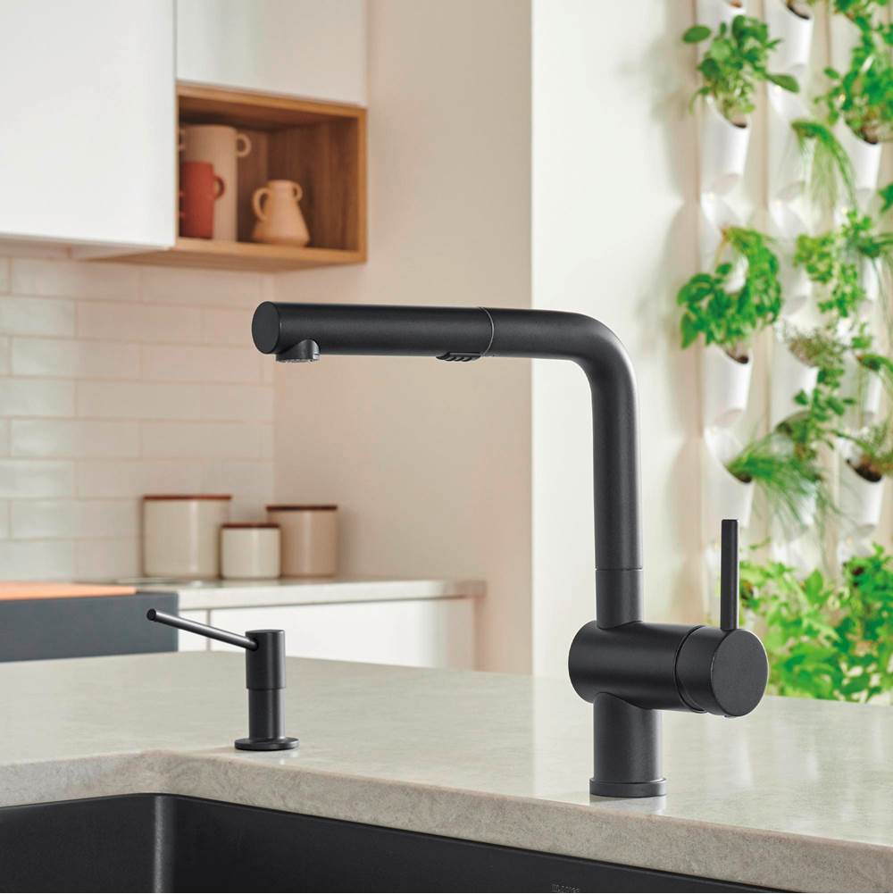 Linus Low Arc Pull-Out Dual-Spray Kitchen Faucet - Chrome
