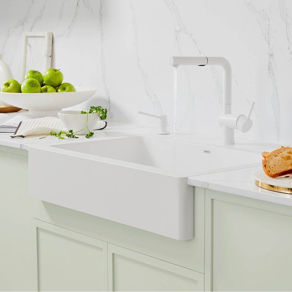 Linus Low Arc Pull-Out Dual-Spray Kitchen Faucet - Chrome