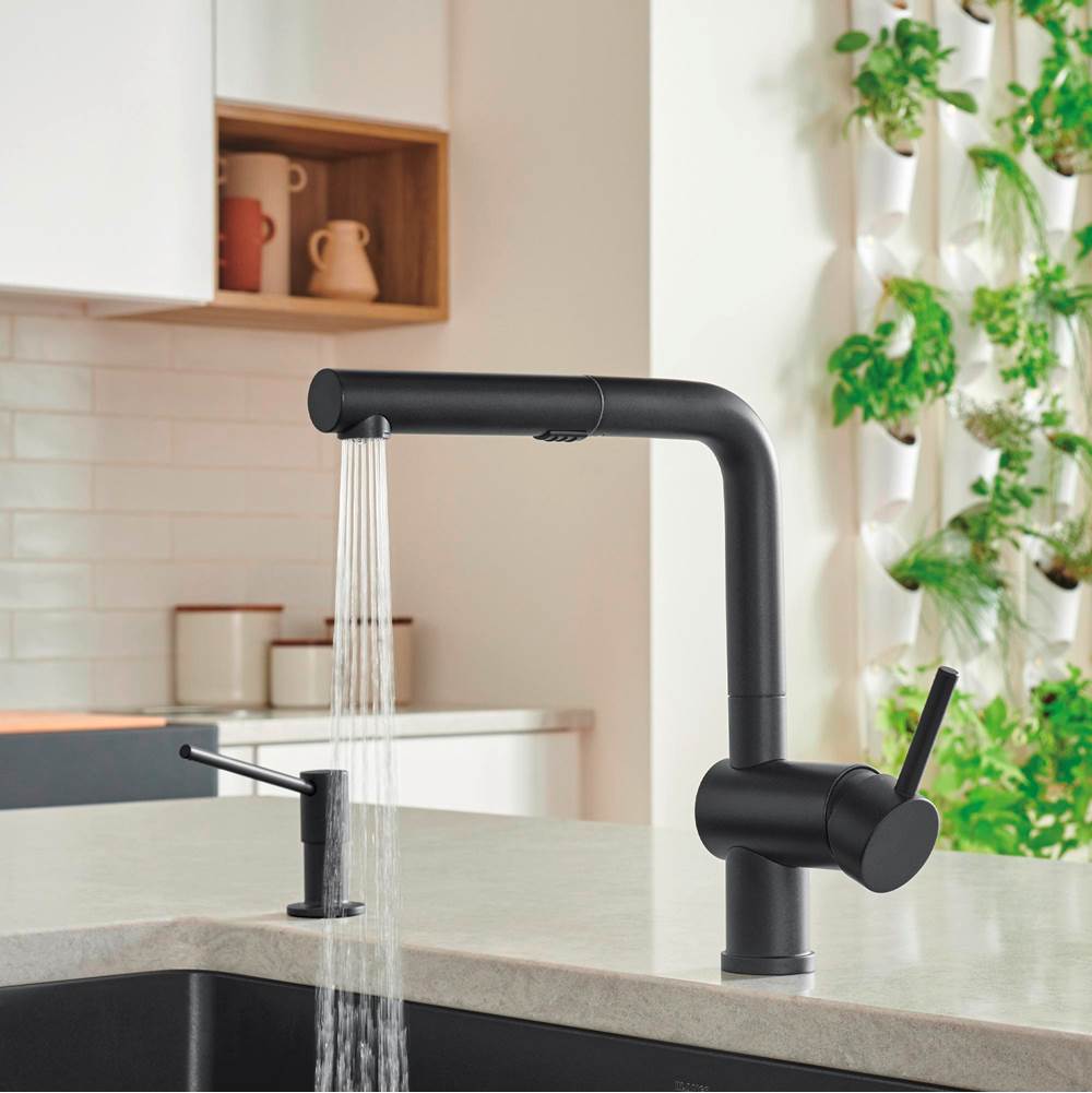 Linus Low Arc Pull-Out Dual-Spray Kitchen Faucet - Chrome