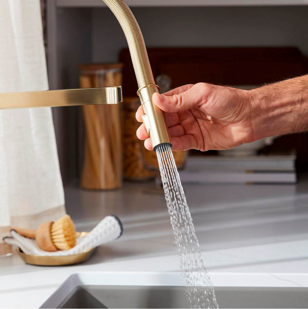 Rivana Semi-Pro Pull-Down Dual-Spray Kitchen Faucet - Chrome