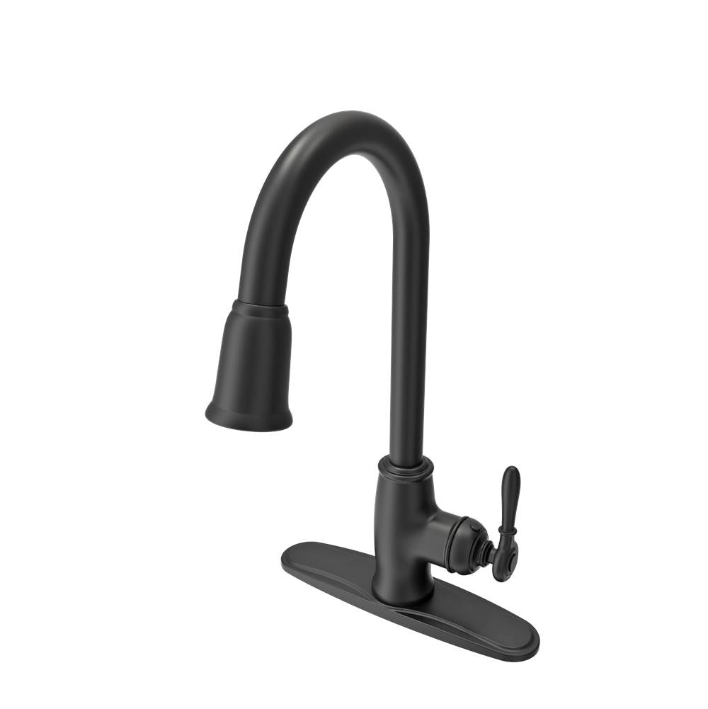 Lesina 2.0 Kitchen Soap Dispenser in Brushed Gold