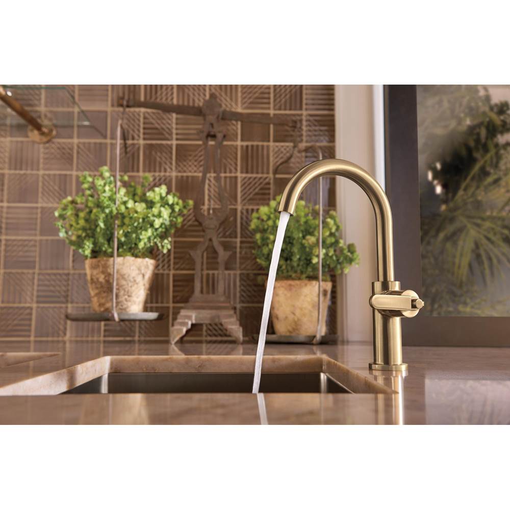Litze Bar Faucet with Arc Spout and Industrial Handle Kit
