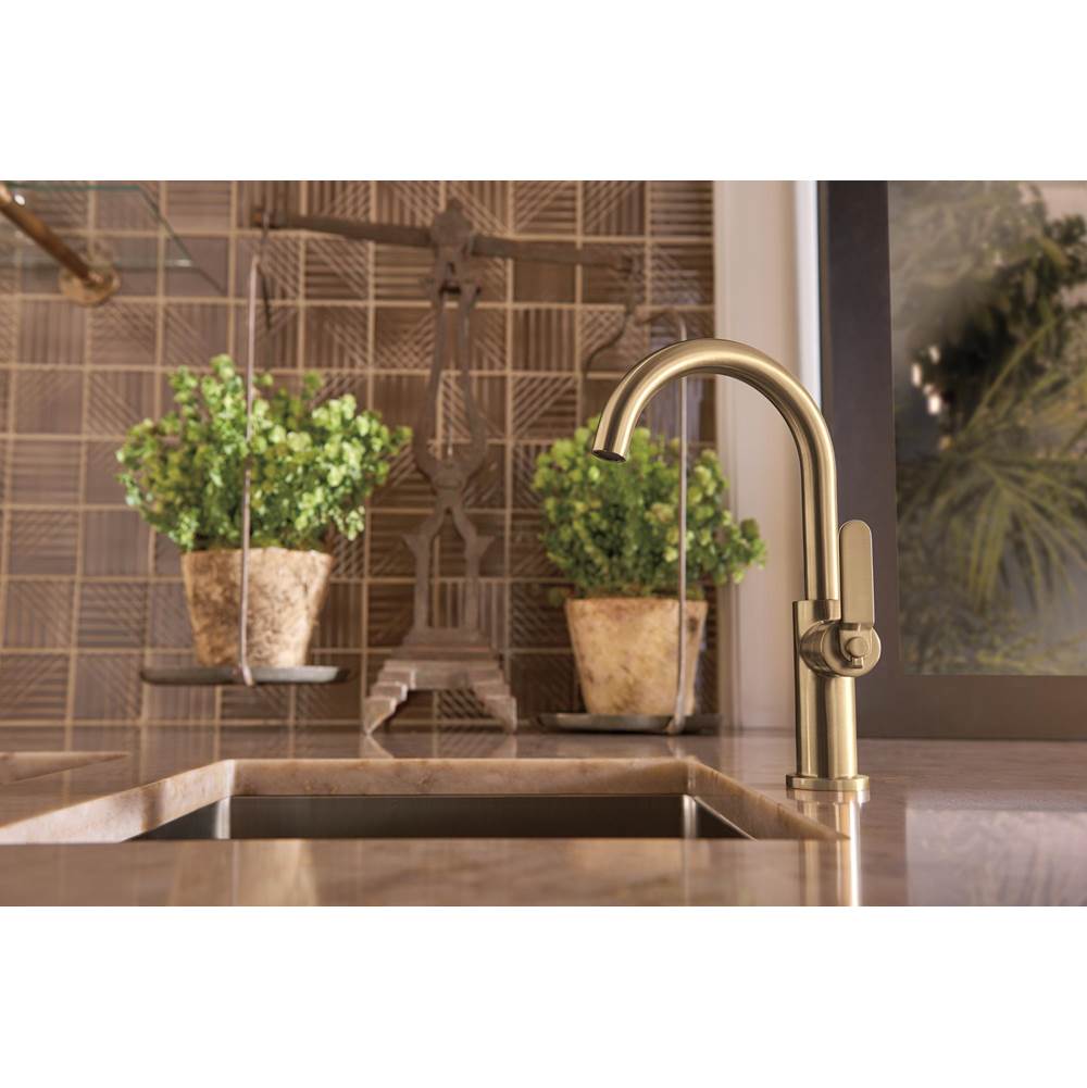 Litze Bar Faucet with Arc Spout and Industrial Handle Kit