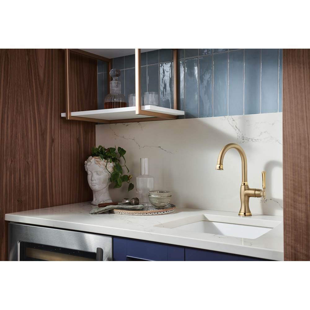 The TulhamE Kitchen Collection by Brizo Bar Faucet