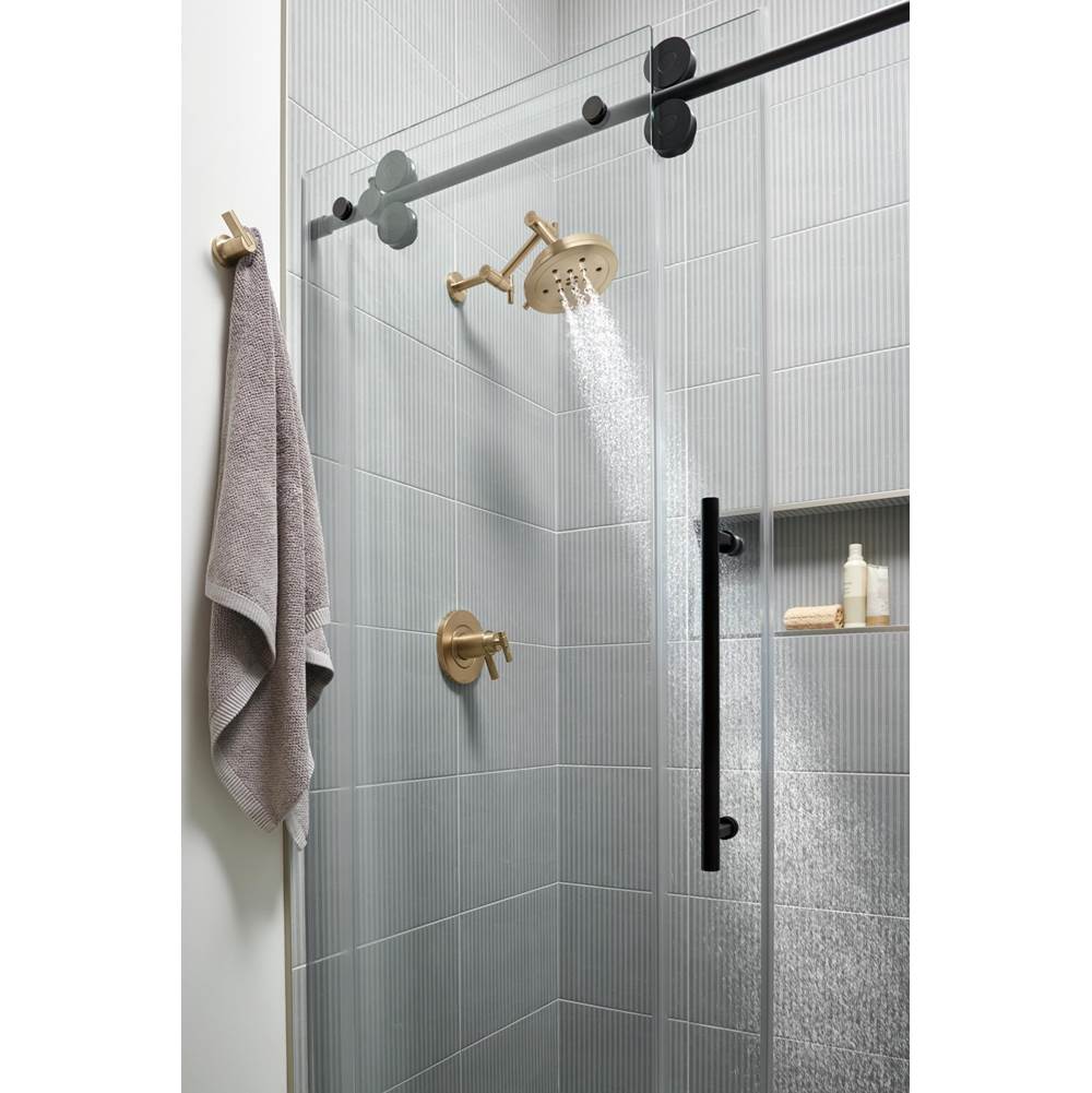 Litze Double Robe Hook