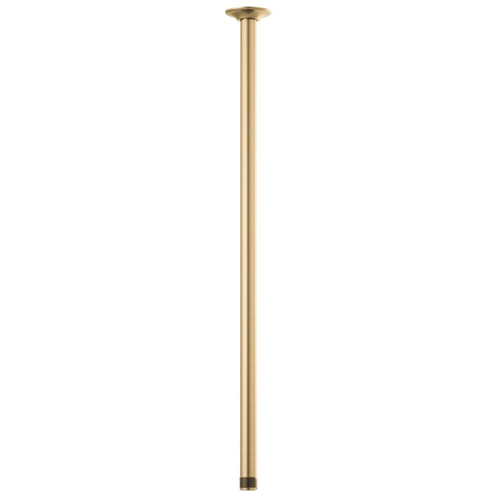Brizo - Universal Showering 24'' Ceiling Mount Shower Arm And Round Flange - Luxe Gold