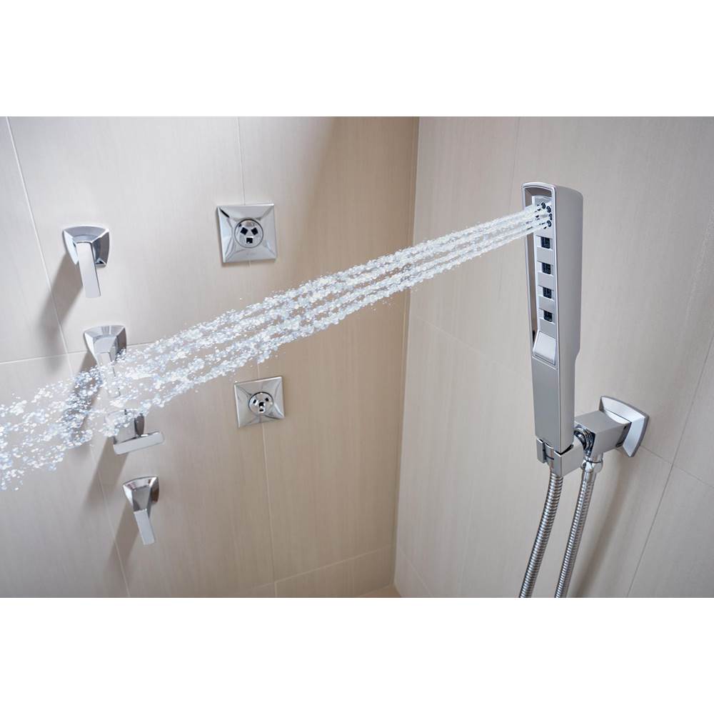 Vettis H2OKineticMulti-Function Wall Mount Handshower