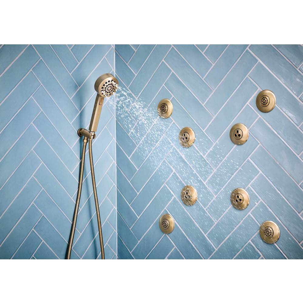LevoirE H2OKineticMulti-Function Wall Mount Handshower