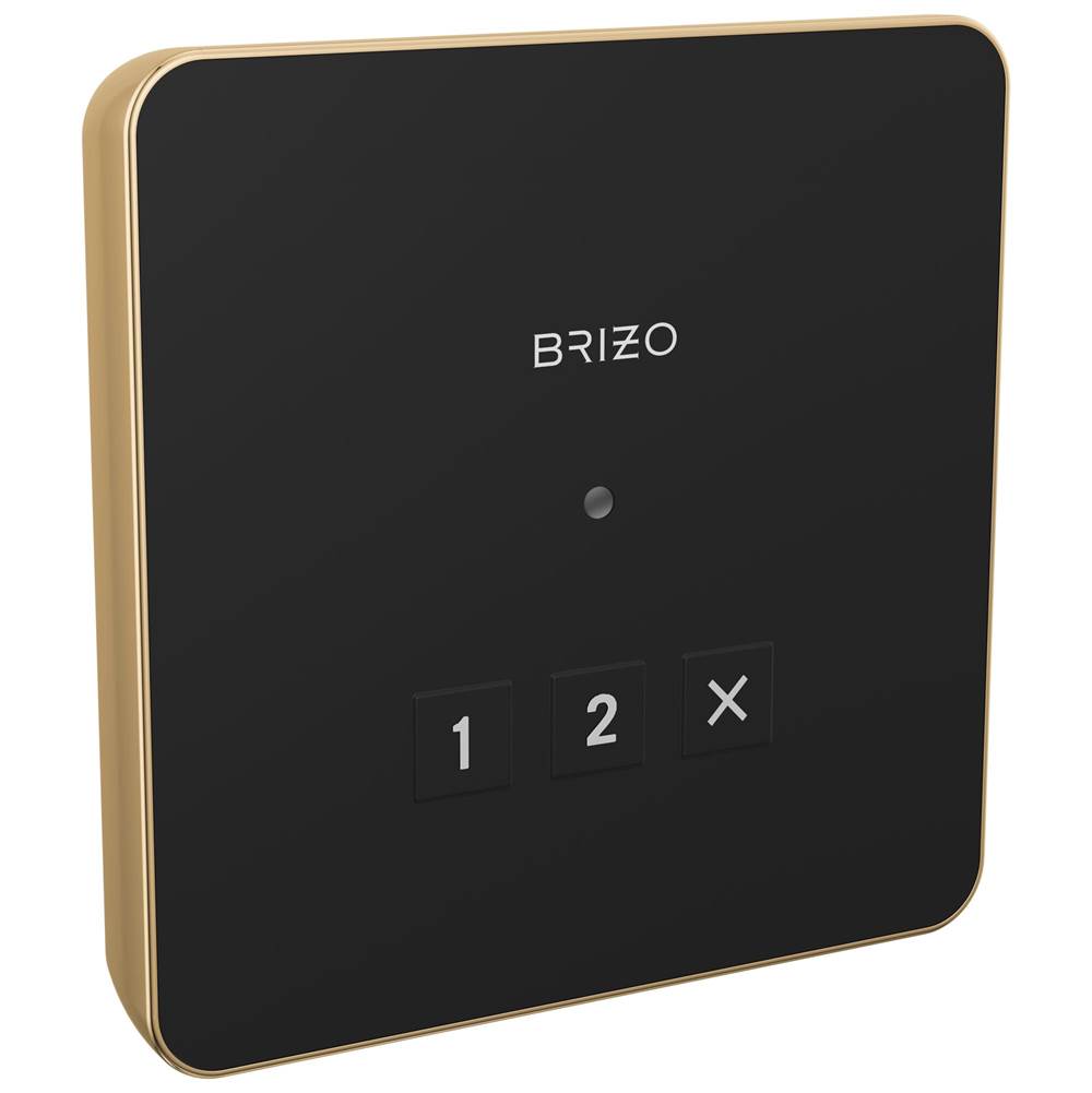 Brizo - Other Square Exterior Control - Lumicoat Polished Gold