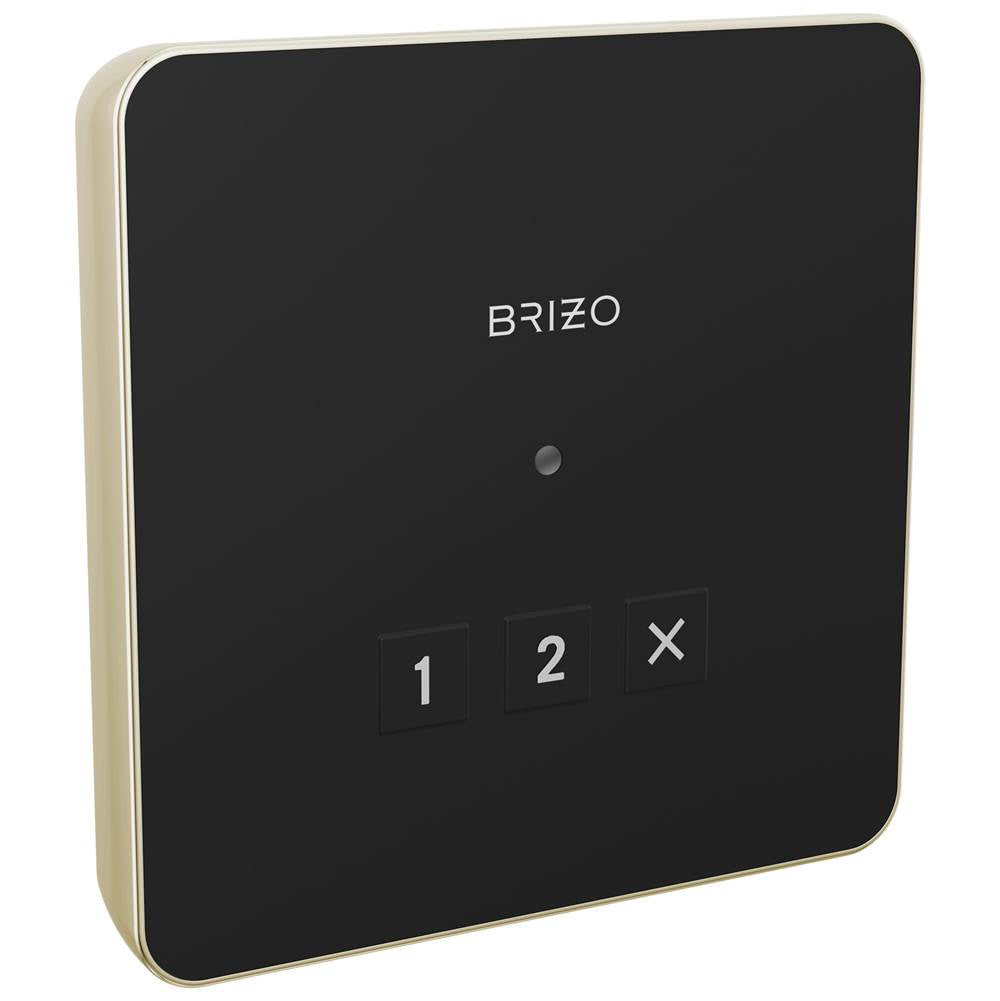 Brizo - Other Square Exterior Control - Lumicoat Polished Nickel