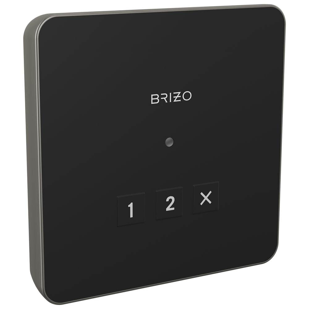 Brizo - Other Square Exterior Control - Lumicoat Luxe Steel