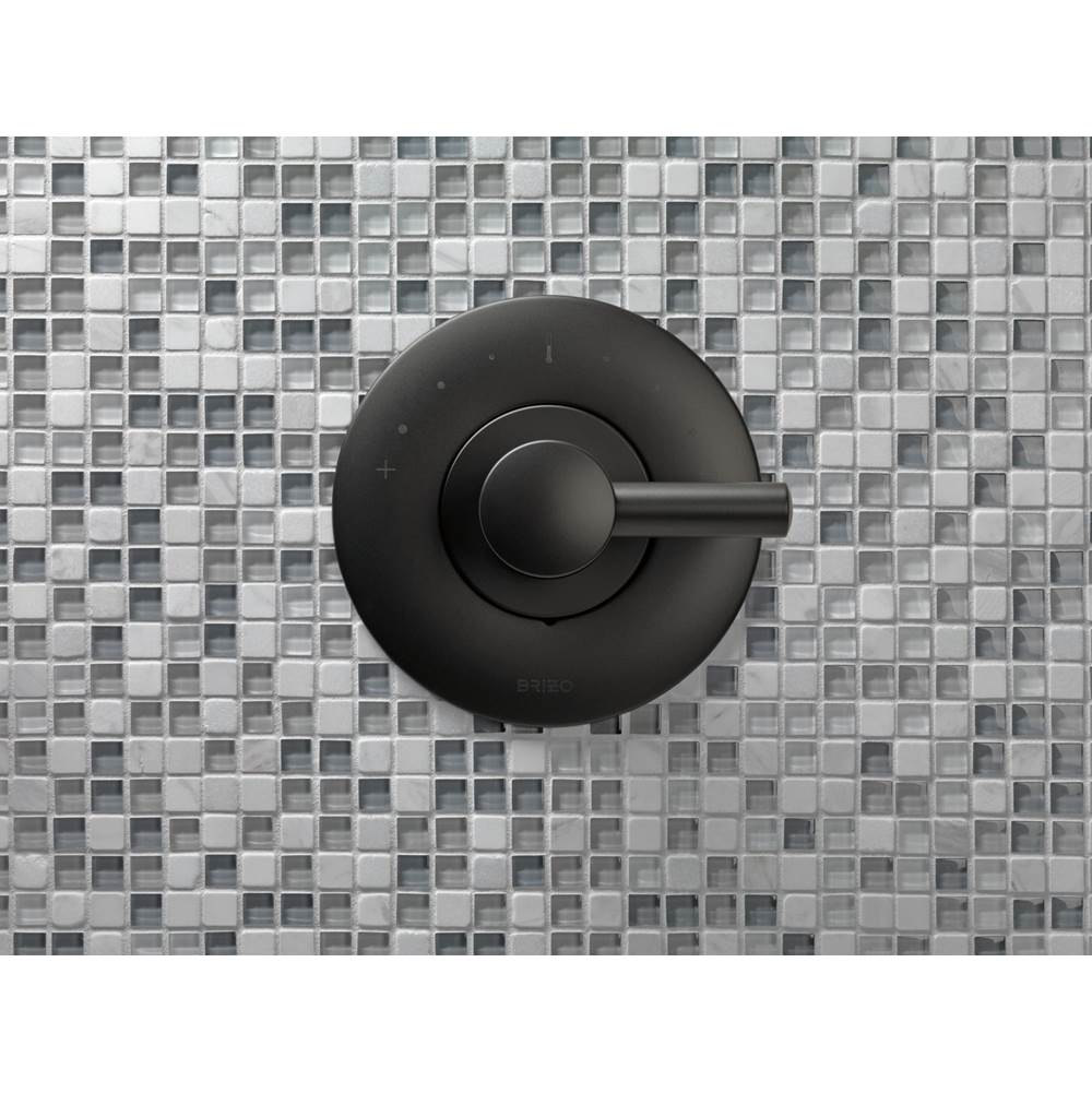 Jason Wu for BrizoE Sensori Thermostatic Trim Lever Handle