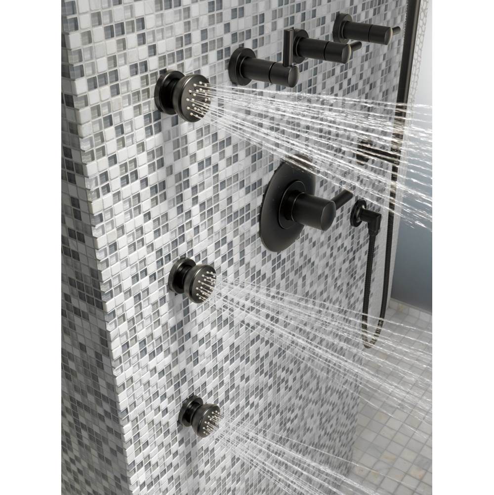 Jason Wu for BrizoE Sensori Thermostatic Trim Lever Handle