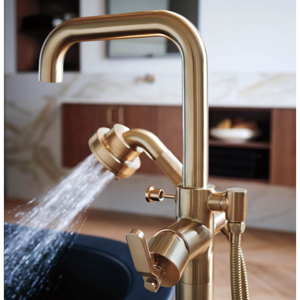 Litze TempAssure Thermostatic Valve With Integrated Diverter Industrial Lever Handle Kit