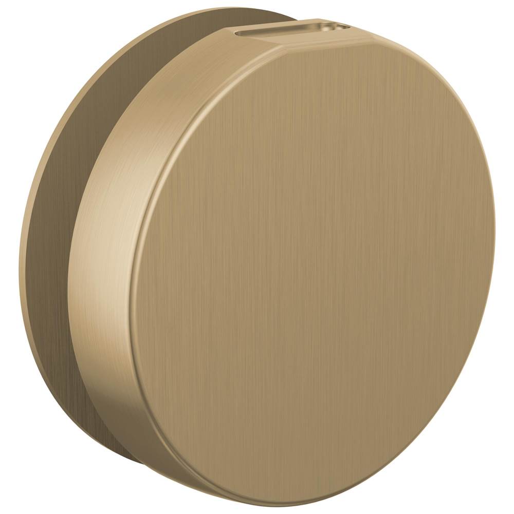 Brizo - Other MystixE Round Steam Head - Luxe Gold
