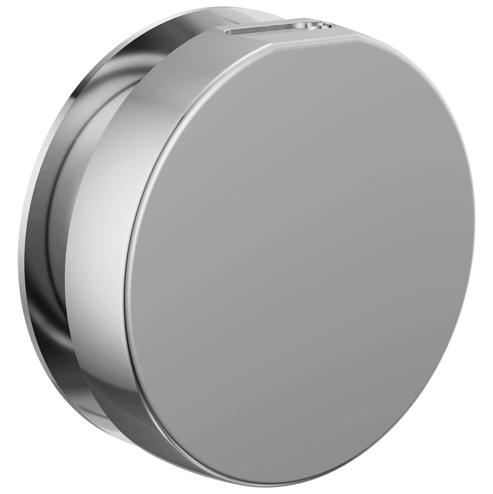Brizo - Other MystixE Round Steam Head - Chrome