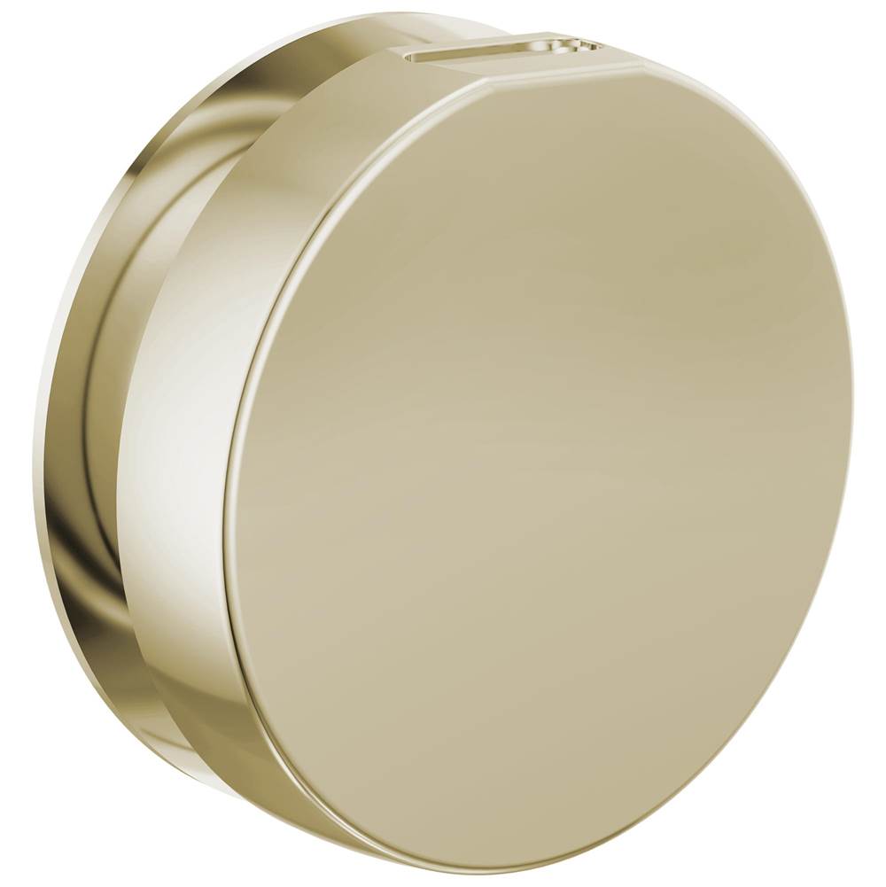 Brizo - Other MystixE Round Steam Head - Polished Nickel