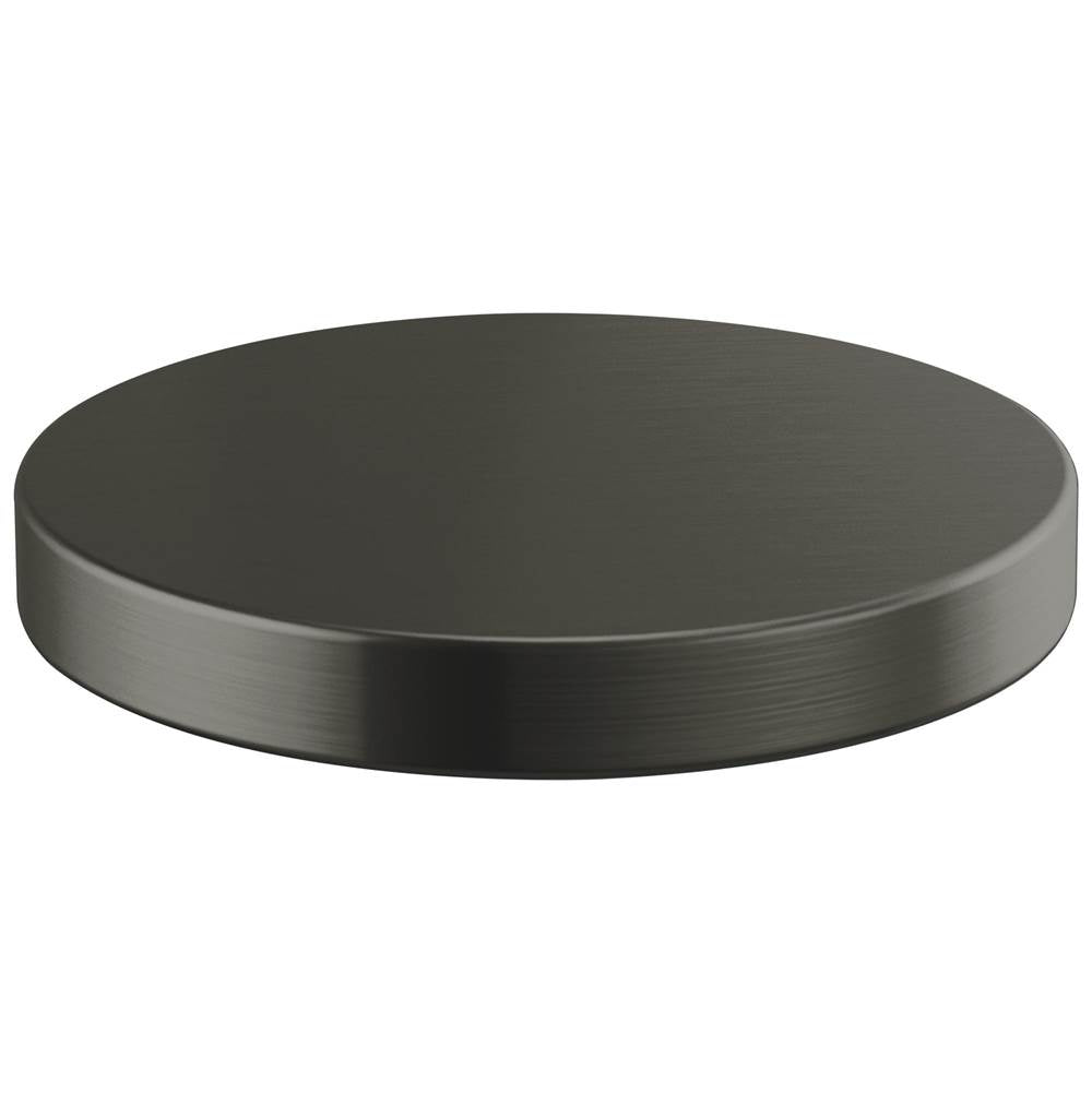 Brizo - Rook Hole Cover - Luxe Steel