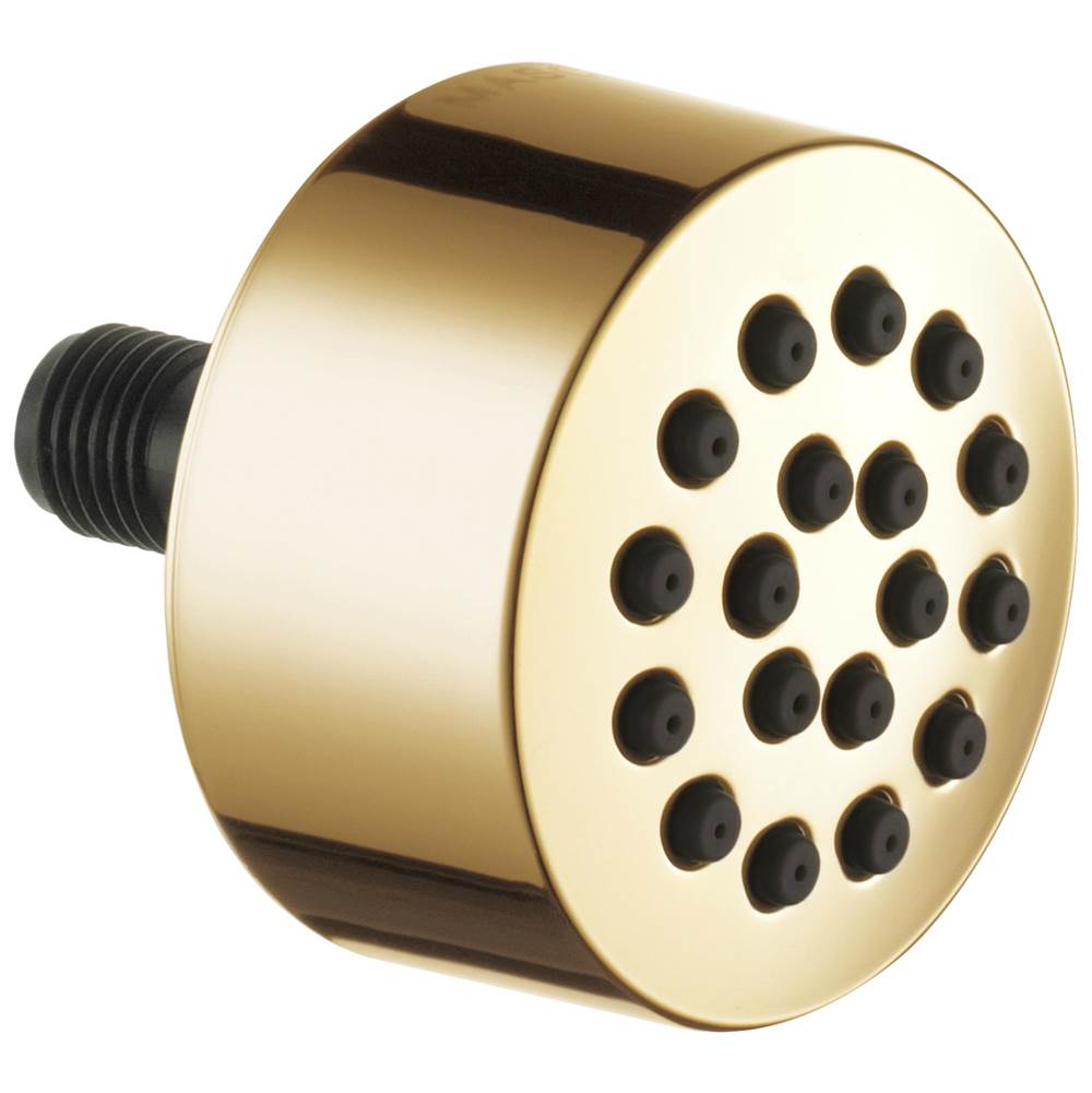 Brizo - Other Hydrachoice Touch-Clean Spray Head - Polished Gold