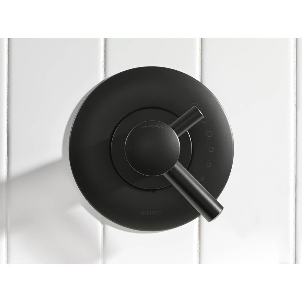 Jason Wu for BrizoE TempAssure(R) Thermostatic Valve Trim