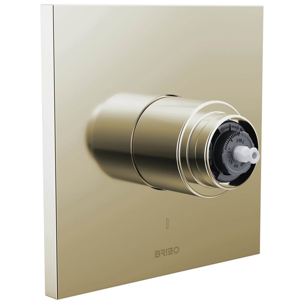 Brizo - Frank Lloyd Wright Pressure Balance Valve Only Trim - Less Handle - Polished Nickel