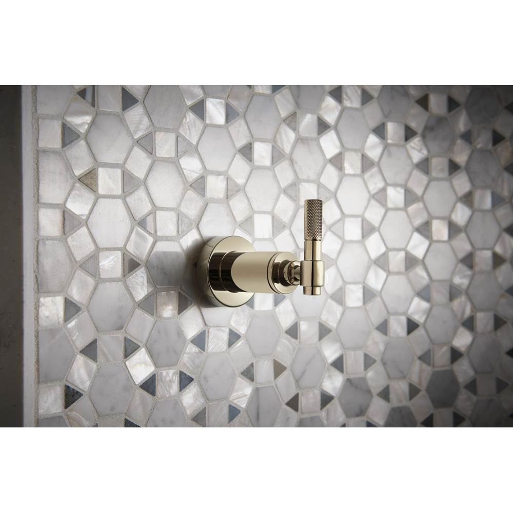 Litze Sensori Volume Control Trim - Industrial Lever