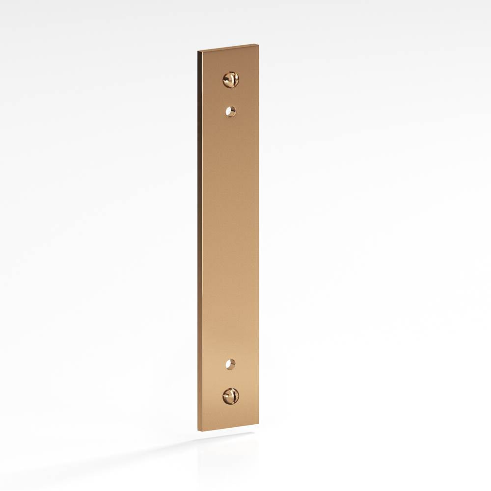 Colonial Bronze - 8'' center-to-center, 10'' overall, 1'' Rectangular Backplate with exposed, finished screws for use with 8-32 screws hand finished in Polished Bronze - Polished Bronze