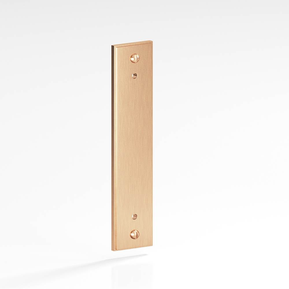 Colonial Bronze - 8'' center-to-center, 10'' overall, 1.25'' Rectangular, stepped Backplate with exposed, finished screws for use with 8-32 screws hand finished in Satin Bronze - Satin Bronze