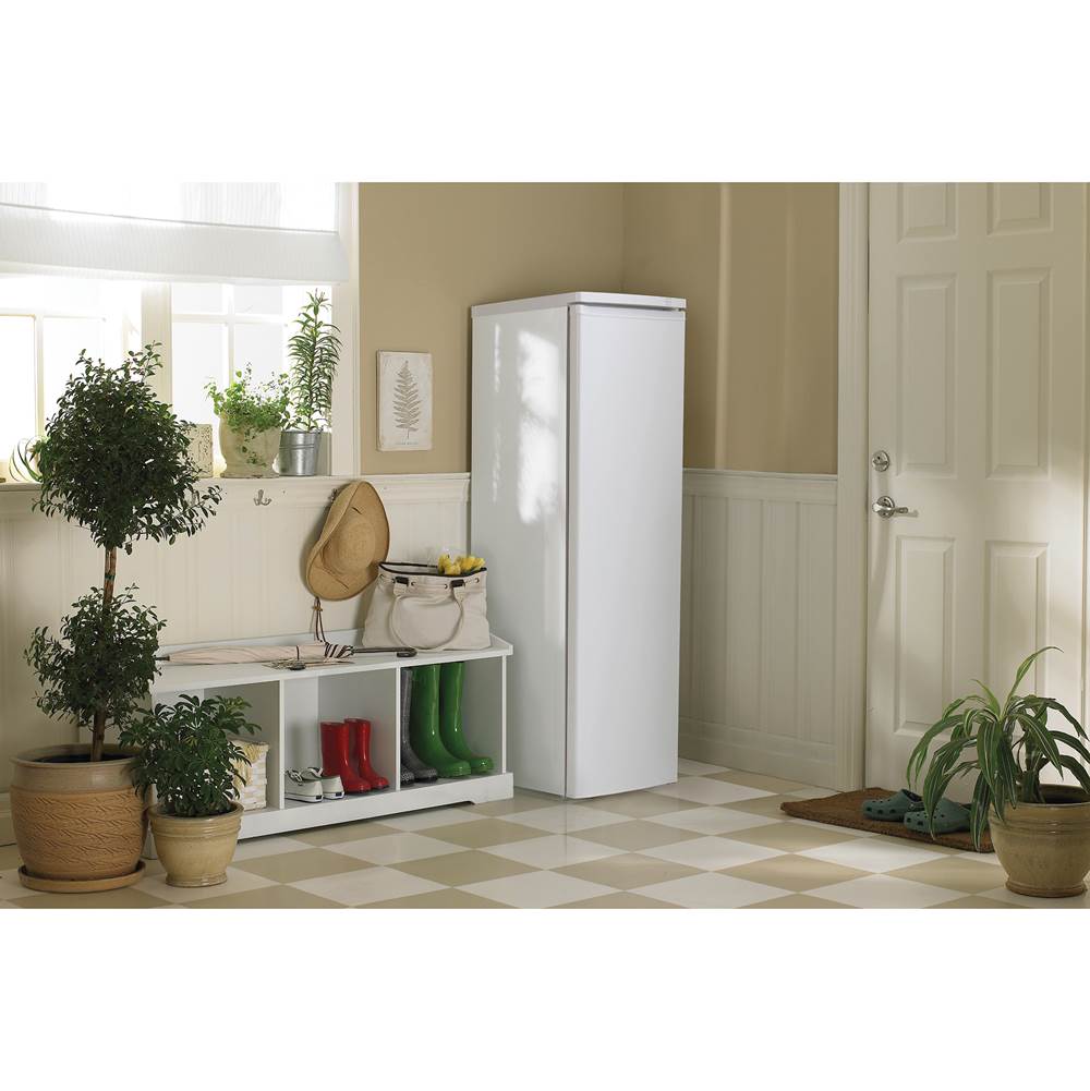 Upright Freezer