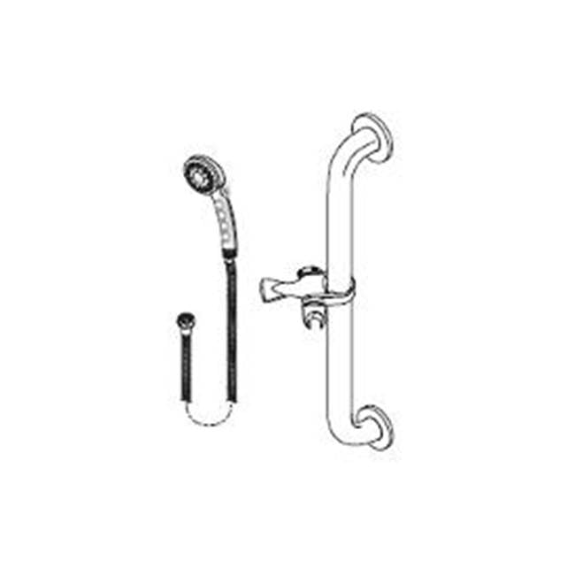 Delta Commercial - Commercial HDF: Single-Setting Hand Shower w/ Grab Bar - Stainless And White