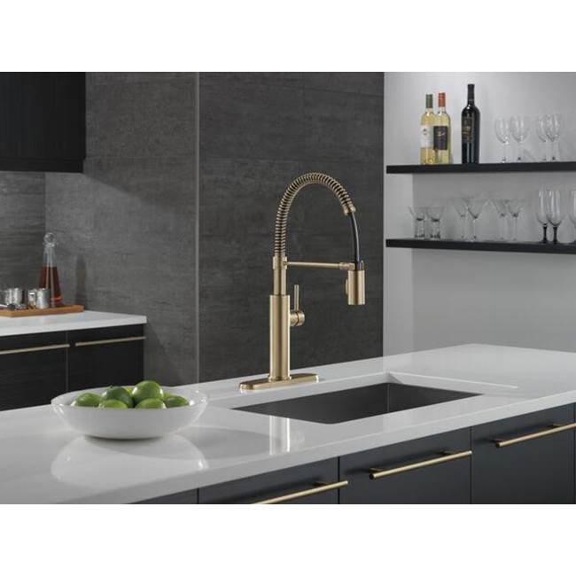 AntoniE Single-Handle Pull-Down Spring Kitchen Faucet