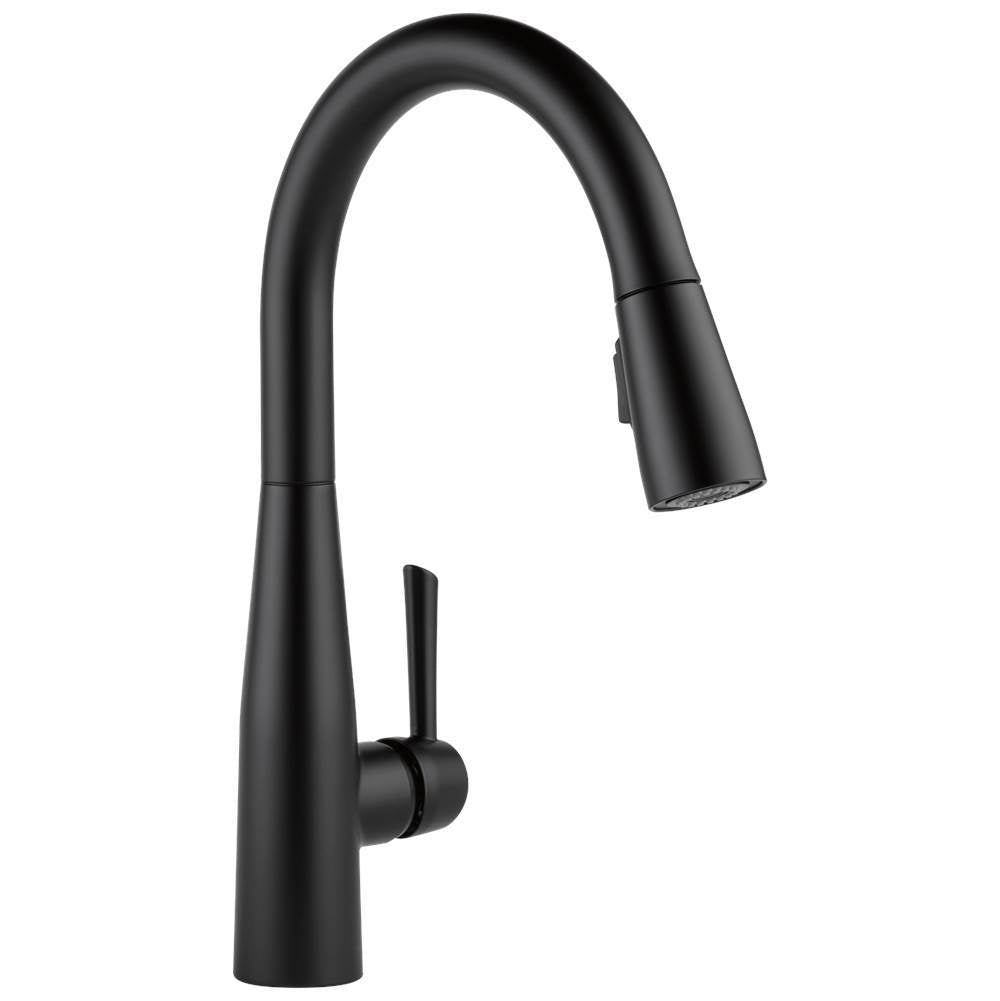 Essa Single Handle Pull-Down Kitchen Faucet