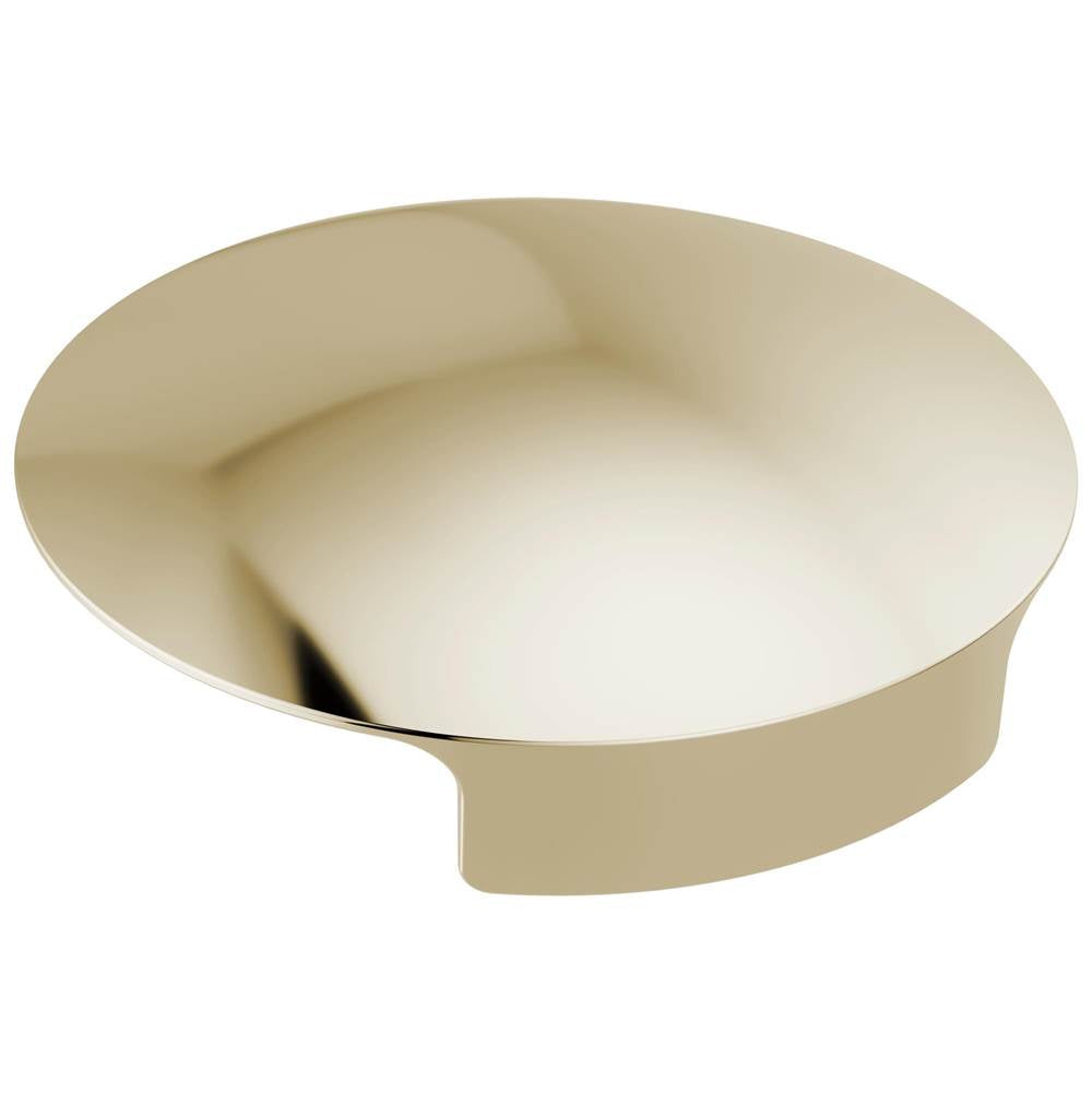 Delta Faucet - Other Glass Rinser Cover - Polished Nickel