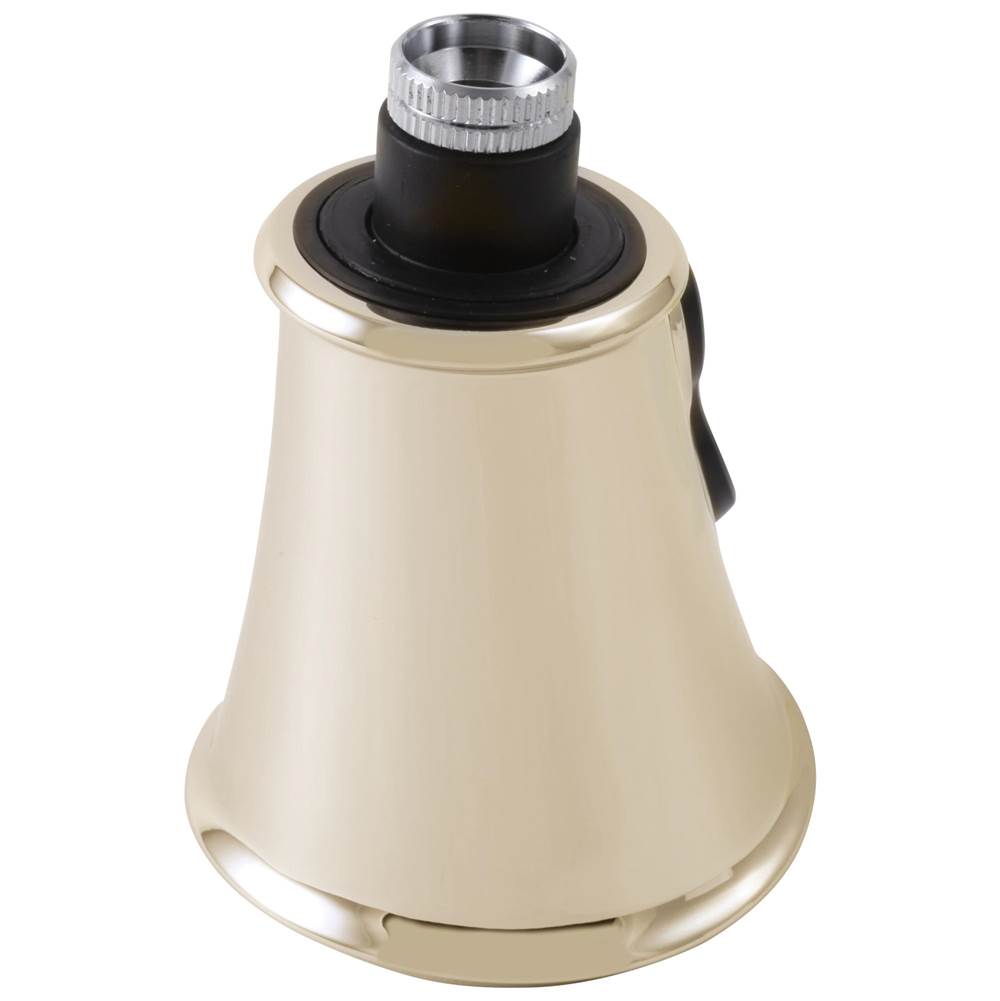 Delta Faucet - CassidyE Wand Assembly - Lumicoat® Polished Nickel