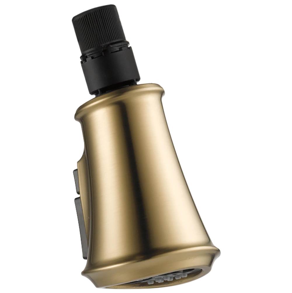 Delta Faucet - CassidyE Wand Assembly - Lumicoat® Champagne Bronze