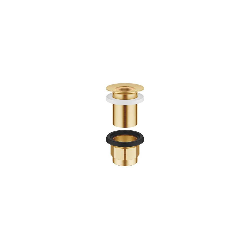 Dornbracht - European Grid Drain 1 1/4'' In Brushed Durabrass - Brushed Durabrass