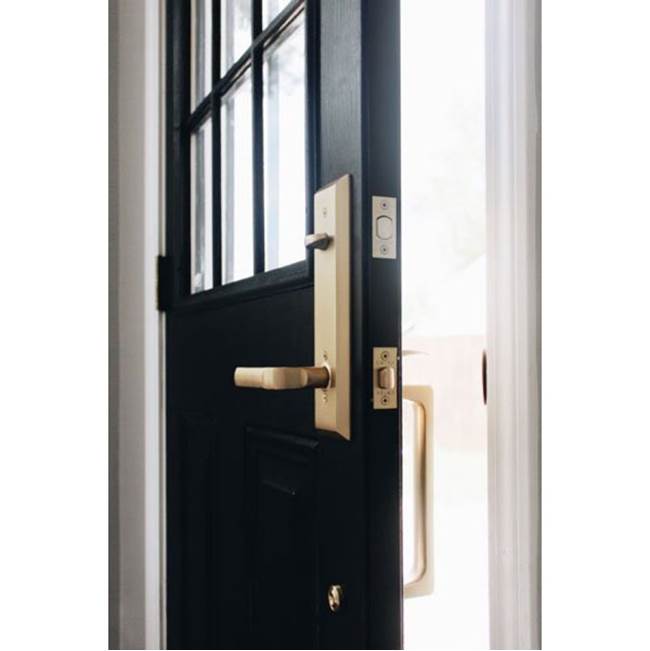 Concealed, Privacy, Modern Rosette, Aston Lever, US10B