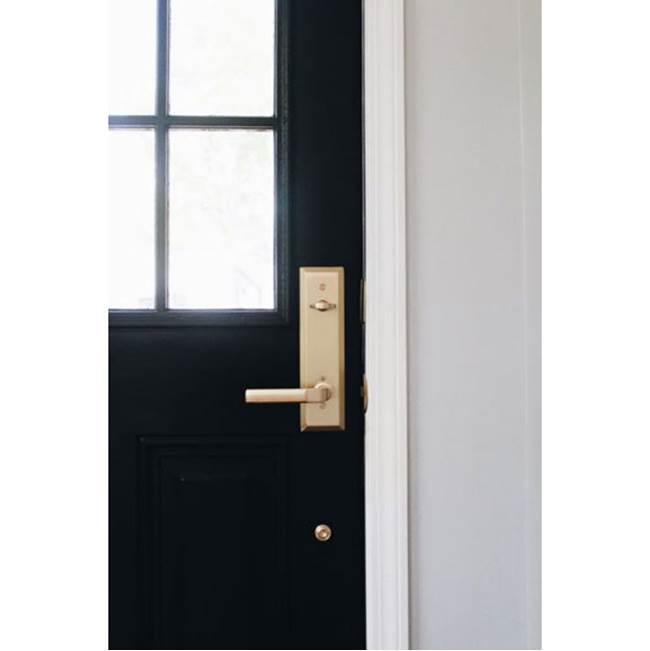 Concealed, Privacy, Modern Rosette, Aston Lever, US10B