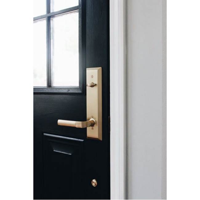 Concealed, Privacy, Modern Rosette, Aston Lever, US10B